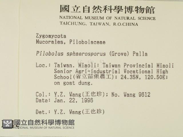 登錄號:F0004469藏品圖，第2張