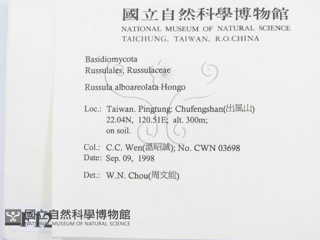 登錄號:F0012469藏品圖，第2張