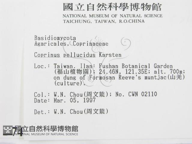 登錄號:F0007469藏品圖，第2張
