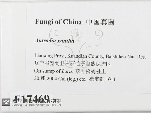 登錄號:F0017469藏品圖，第2張