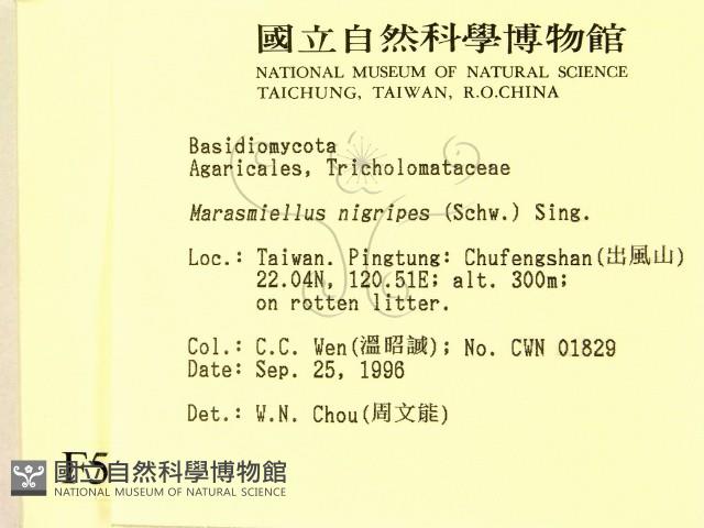 登錄號:F0005469藏品圖，第2張