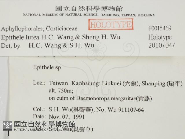 登錄號:F0015469藏品圖，第2張