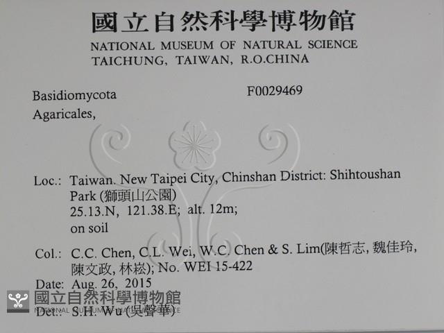 登錄號:F0029469藏品圖，第2張