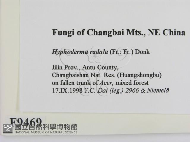 登錄號:F0009469藏品圖，第2張