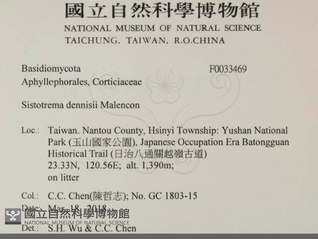 登錄號:F0033469藏品圖，第2張