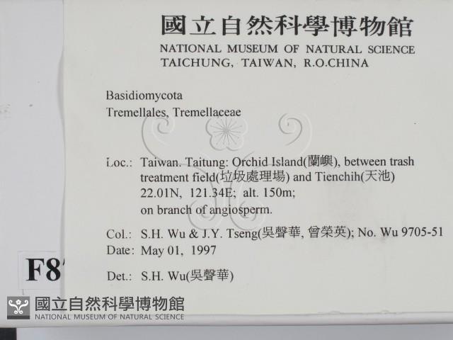 登錄號:F0008769藏品圖，第2張