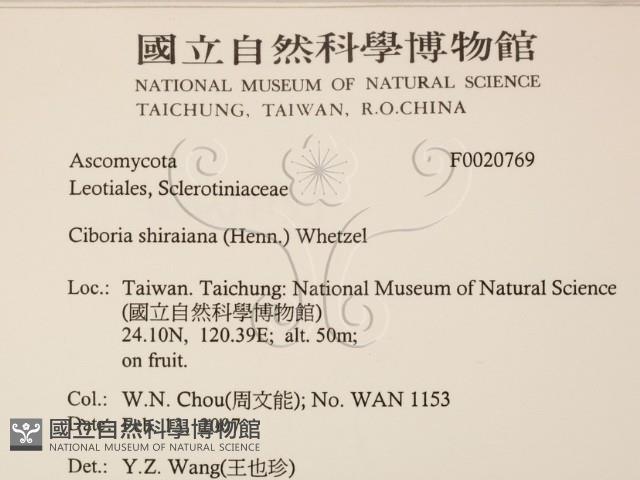 登錄號:F0020769藏品圖，第2張