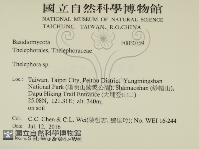 革菌屬藏品圖，第2張