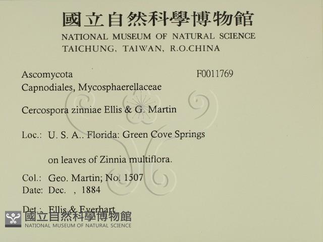 登錄號:F0011769藏品圖，第2張