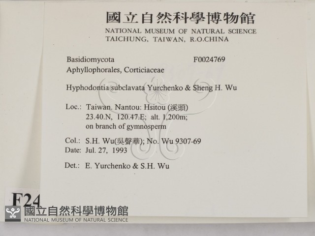 登錄號:F0024769藏品圖，第2張