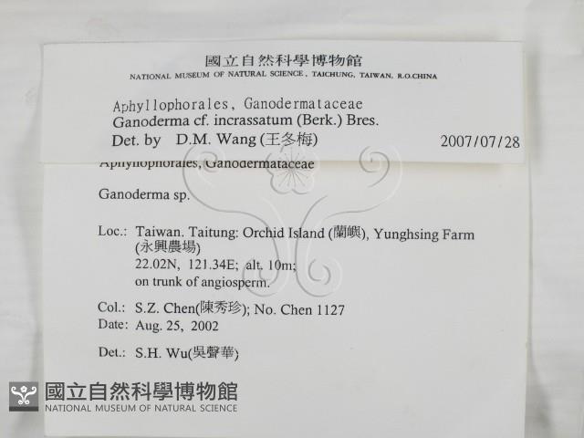 登錄號:F0014769藏品圖，第2張