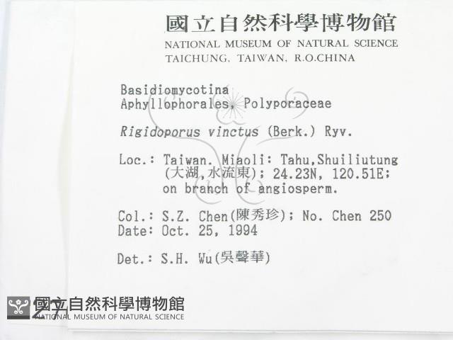登錄號:F0002769藏品圖，第2張