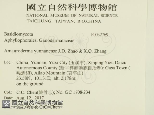 登錄號:F0032769藏品圖，第2張