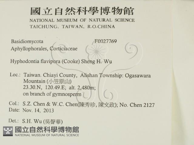 登錄號:F0027769藏品圖，第2張