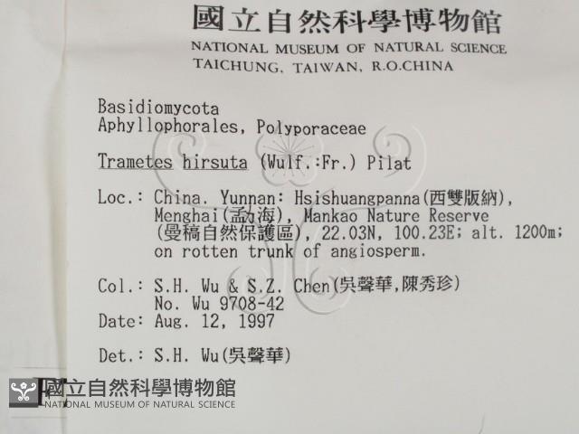 登錄號:F0007769藏品圖，第2張