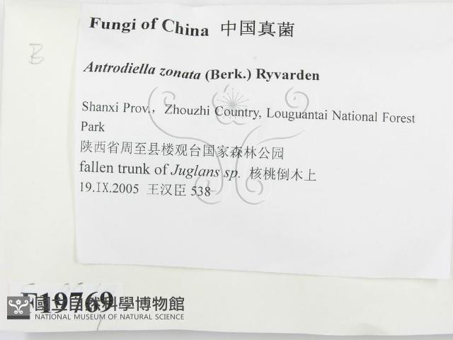 登錄號:F0019769藏品圖，第2張