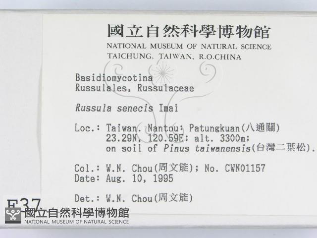 登錄號:F0003769藏品圖，第2張