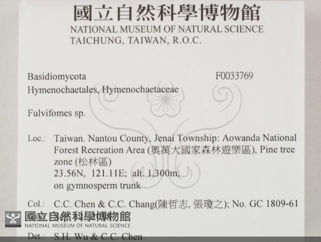 登錄號:F0033769藏品圖，第2張