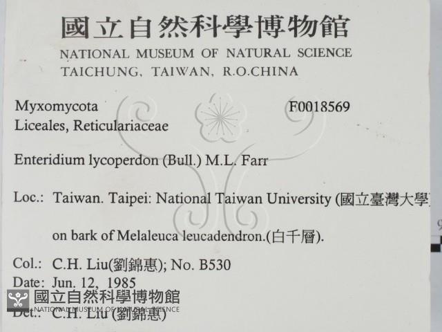 登錄號:F0018569藏品圖，第2張