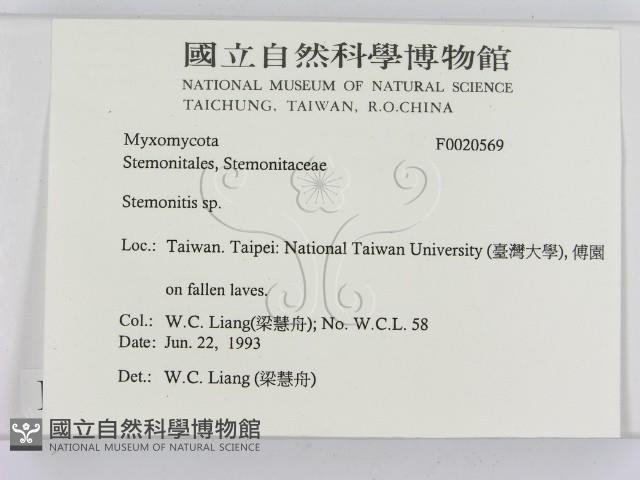 登錄號:F0020569藏品圖，第2張