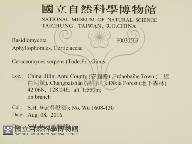登錄號:F0030569藏品圖，第2張