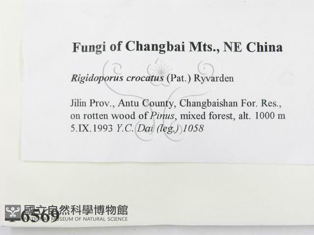 登錄號:F0006569藏品圖，第2張