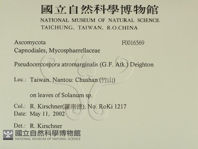 登錄號:F0016569藏品圖，第2張