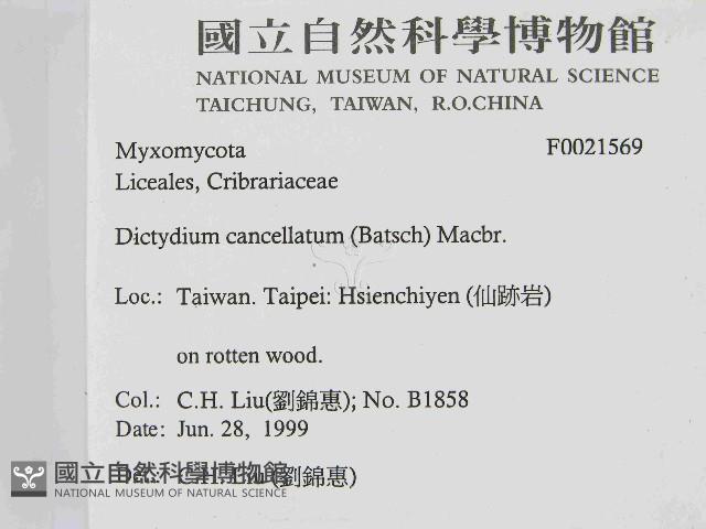 登錄號:F0021569藏品圖，第2張