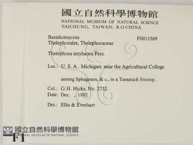 登錄號:F0011569藏品圖，第2張