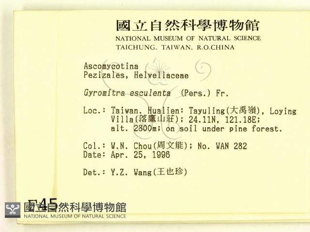 登錄號:F0004569藏品圖，第2張