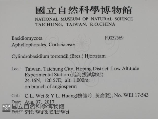 登錄號:F0032569藏品圖，第2張