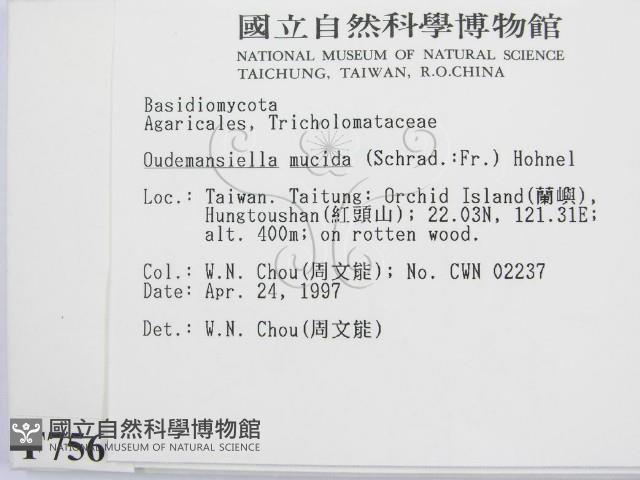 登錄號:F0007569藏品圖，第2張