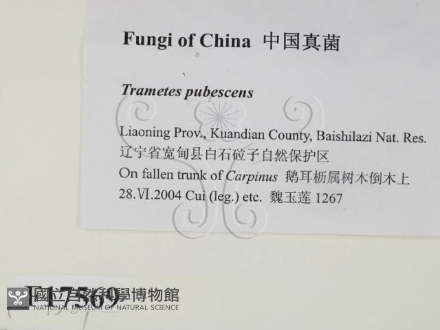 登錄號:F0017569藏品圖，第2張
