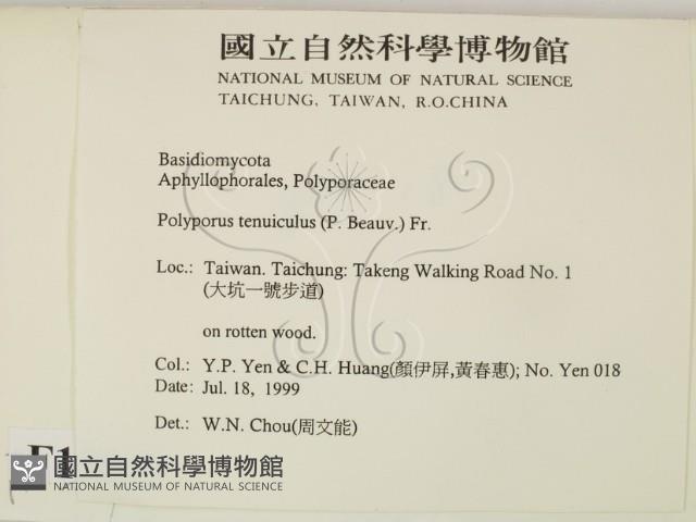 登錄號:F0015569藏品圖，第2張