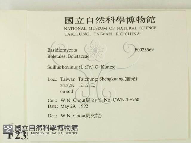 登錄號:F0023569藏品圖，第2張
