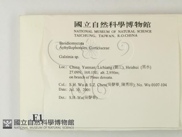 登錄號:F0013569藏品圖，第2張