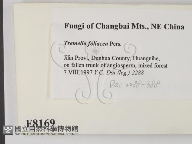 登錄號:F0008169藏品圖，第2張