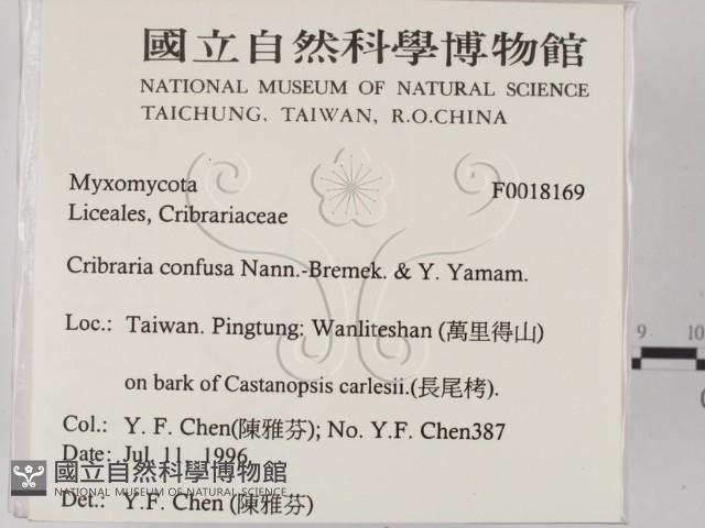 登錄號:F0018169藏品圖，第2張