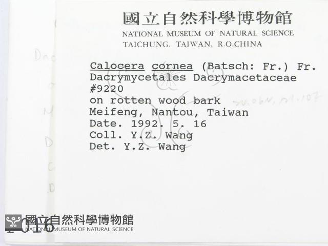 登錄號:F0000169藏品圖，第2張