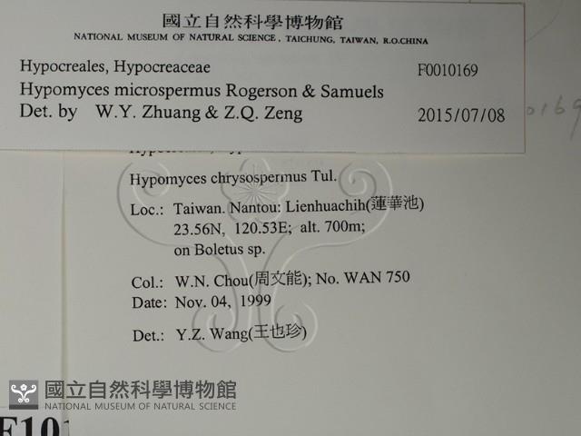 登錄號:F0010169藏品圖，第2張