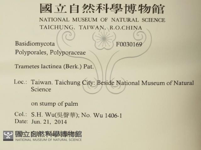 登錄號:F0030169藏品圖，第2張