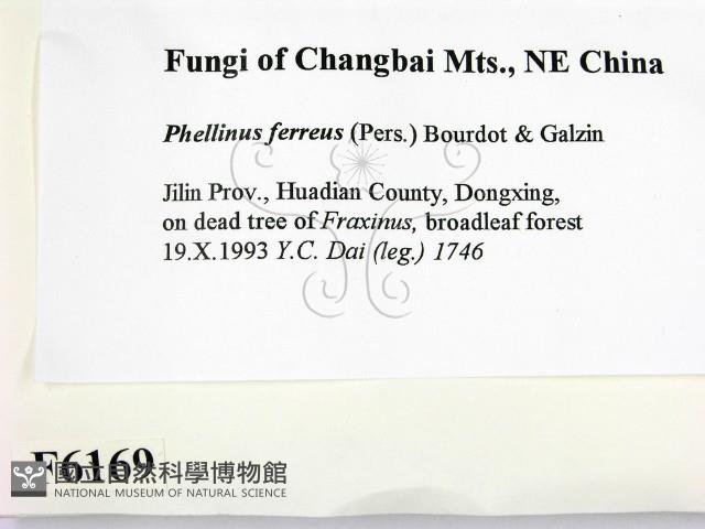 登錄號:F0006169藏品圖，第2張