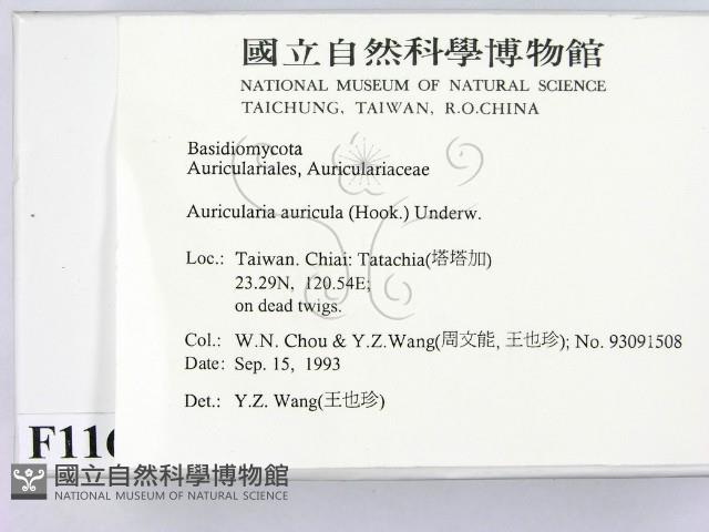 登錄號:F0001169藏品圖，第2張