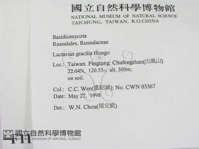 登錄號:F0011169藏品圖，第2張