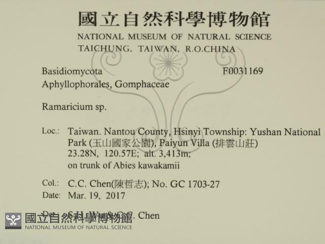 登錄號:F0031169藏品圖，第2張