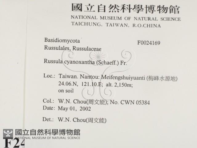 登錄號:F0024169藏品圖，第2張