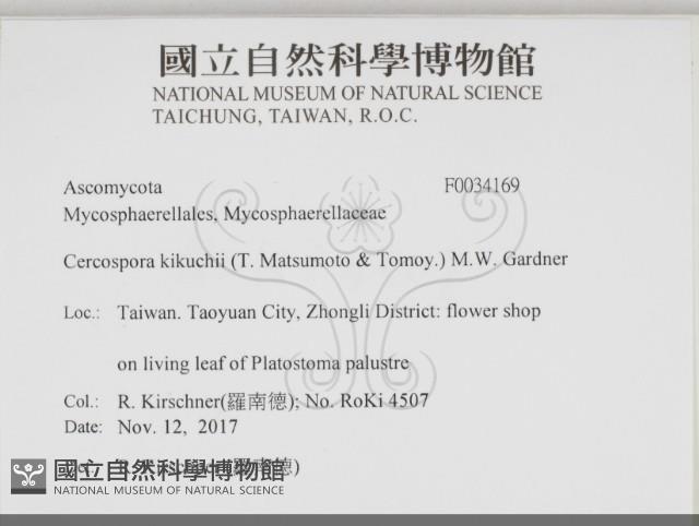 登錄號:F0034169藏品圖，第2張