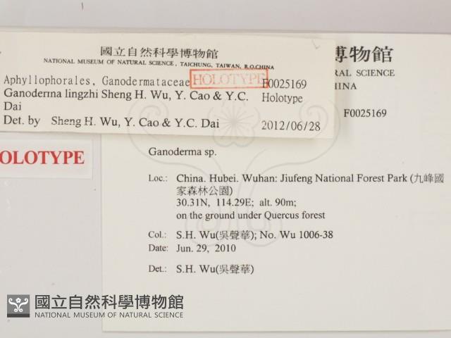 登錄號:F0025169藏品圖，第2張