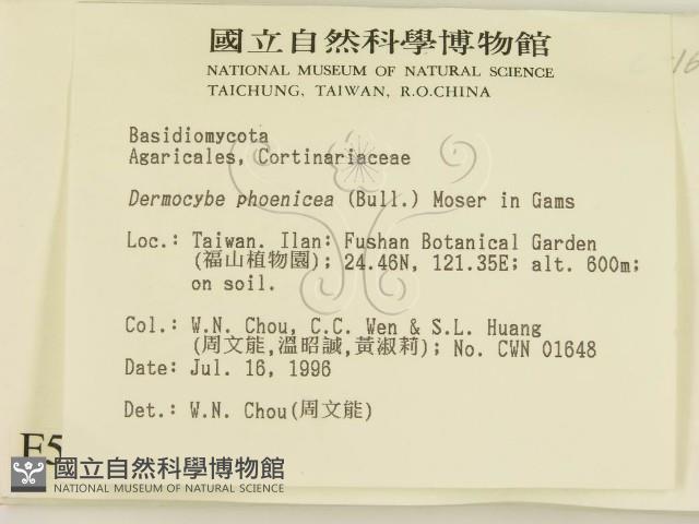 登錄號:F0005169藏品圖，第2張