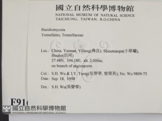 登錄號:F0009169藏品圖，第2張